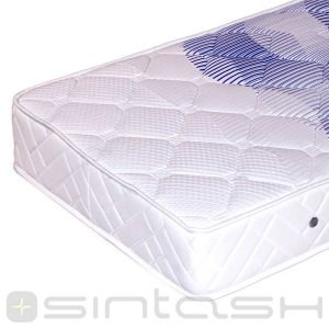 تشک-فلوریدا-سین-تاش-SINTASH-FELORIDA